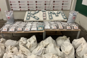 bilecik-haber_kapikule-de-iki-tirda-120-kilogram-kokain-ile-178-kilogram-esrar-ele-gecirildi-37919.jpg