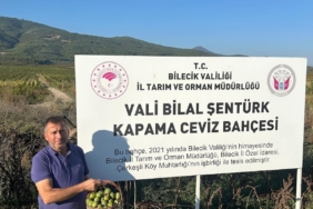 Osmaneli'de kavaklıktan dönüştürülen bahçede ilk ceviz hasadı yapıldı