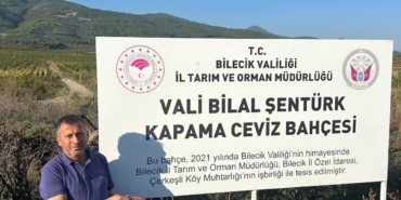 Osmaneli'de kavaklıktan dönüştürülen bahçede ilk ceviz hasadı yapıldı