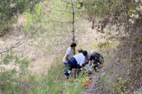 bilecik-haber_sakarya-da-sarampole-devrilen-motosikletin-surucusu-yaralandi-35384.jpg