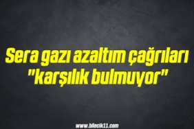 bilecik-haber_sera-gazi-azaltim-cagrilari-karsilik-bulmuyor-11-11.jpg
