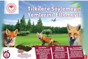 TİLKİLERE SÖYLEMEYİN