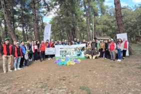 bilecik-haber_trakya-da-ormanlarda-temizlik-yapildi-37605.jpg