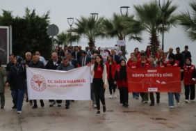 bilecik-haber_yalova-da-dunya-yuruyus-gunu-etkinligi-duzenlendi-34729.jpg
