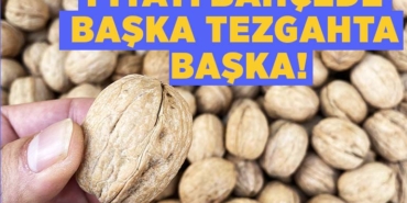 bilecişk ceviz