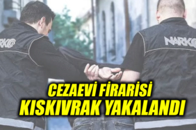 ceva