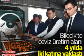 ceviz
