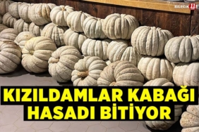 kabak gibisin maşallah