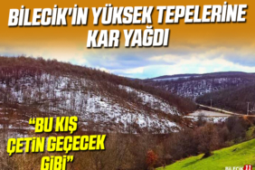kış
