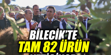 23F3F23F23F23