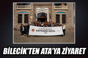 23T3T23T23T