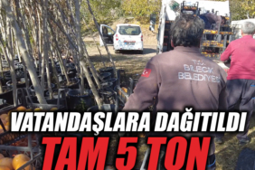 34T34T34
