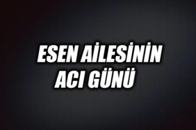 45y45y45y