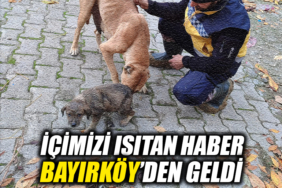 56y56y56y56
