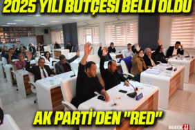 ak partiiiii