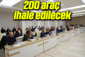 araç