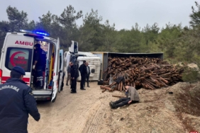 Bilecik'te devrilen tomruk yüklü kamyondaki 3 kişi yaralandı