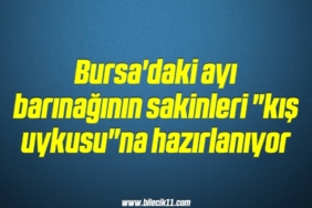 bilecik-haber_bursa-daki-ayi-barinaginin-sakinleri-kis-uykusu-na-hazirlaniyor-15-15.jpg