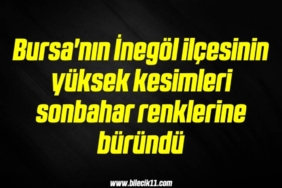 bilecik-haber_bursa-nin-inegol-ilcesinin-yuksek-kesimleri-sonbahar-renklerine-burundu-10-10.jpg
