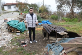 bilecik-haber_calindigini-dusundukleri-kopeklerini-kurtlarin-goturdugunu-guvenlik-kamerasindan-ogrendiler-42625.jpg