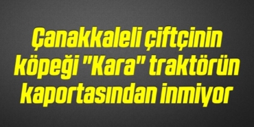 bilecik-haber_canakkaleli-ciftcinin-kopegi-kara-traktorun-kaportasindan-inmiyor-19-19.jpg