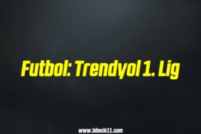bilecik-haber_futbol-trendyol-1-lig-2-2.jpg