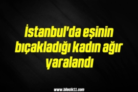 bilecik-haber_istanbul-da-esinin-bicakladigi-kadin-agir-yaralandi-17-17.jpg
