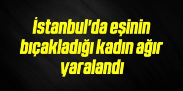 bilecik-haber_istanbul-da-esinin-bicakladigi-kadin-agir-yaralandi-17-17.jpg