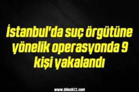 bilecik-haber_istanbul-da-suc-orgutune-yonelik-operasyonda-9-kisi-yakalandi-15-15.jpg