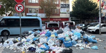 bilecik-haber_kartal-da-iscilerin-eylemi-nedeniyle-biriken-coplere-vatandas-tepki-gosterdi-40838.jpg
