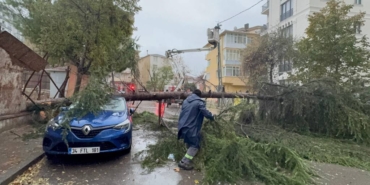 bilecik-haber_kartal-da-park-halindeki-otomobilin-uzerine-agac-devrildi-45327.jpg