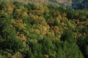 bilecik-haber_kazdaglari-ni-ziyaret-eden-dogaseverler-sonbahar-renkleri-esliginde-zaman-geciriyor-42565.jpg