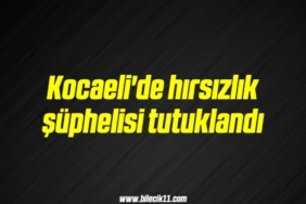 bilecik-haber_kocaeli-de-hirsizlik-suphelisi-tutuklandi-19-19.jpg