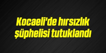 bilecik-haber_kocaeli-de-hirsizlik-suphelisi-tutuklandi-19-19.jpg