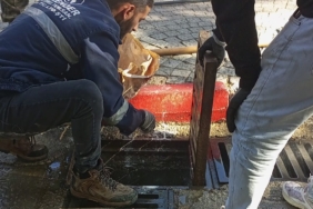 Mazgallarda detaylı temizlik