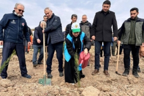 bilecik-haber_pamukova-da-fidanlar-toprakla-bulustu-42738.jpg