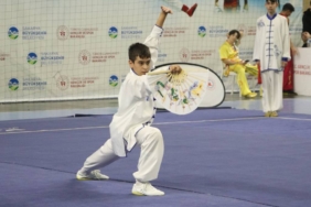 bilecik-haber_sakarya-da-duzenlenen-geleneksel-wushu-turkiye-sampiyonasi-sona-erdi-40840.jpg