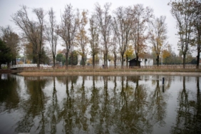 bilecik-haber_sakarya-kent-merkezindeki-parklar-guz-renkleriyle-hareketlendi-44353.jpg