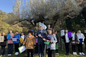 bilecik-haber_sariyer-de-1000-yillik-zeytin-agacinda-cocuk-haklari-siirleri-seslendirildi-44721.jpg
