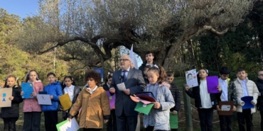bilecik-haber_sariyer-de-1000-yillik-zeytin-agacinda-cocuk-haklari-siirleri-seslendirildi-44721.jpg
