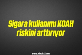 bilecik-haber_sigara-kullanimi-koah-riskini-arttiriyor-2-2.jpg