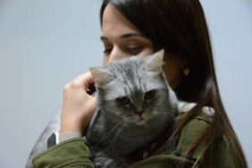bilecik-haber_surekli-hapsiran-kedi-insanlarda-kullanilan-septal-buton-uygulamasiyla-tedavi-edildi-41962.jpg