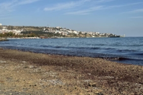 bilecik-haber_tekirdag-da-poyraz-nedeniyle-sahilde-kirmizi-yosun-birikti-41022.jpg