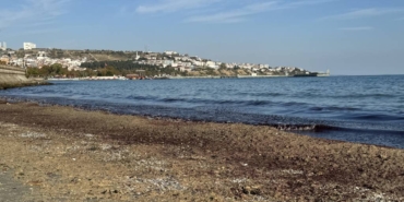 bilecik-haber_tekirdag-da-poyraz-nedeniyle-sahilde-kirmizi-yosun-birikti-41022.jpg