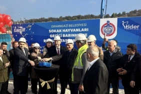 bilecik-haber_tider-ve-cargill-den-orhangazi-ye-sokak-hayvanlari-rehabilitasyon-merkezi-44743.jpg