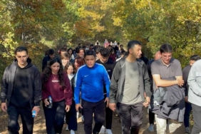 bilecik-haber_ulastirma-ve-altyapi-bakan-yardimcisi-boyraz-sakarya-da-genclerle-ayva-hasadi-yapti-42476.jpg
