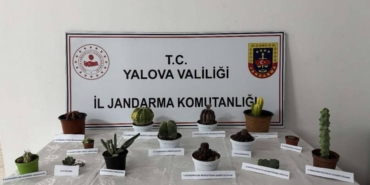 bilecik-haber_yalova-da-seradan-endemik-bitki-caldigi-ileri-surulen-kisi-gozaltina-alindi-41369.jpg
