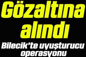 gözaltı