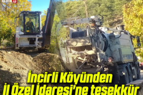 incirliiiiii