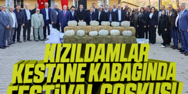 kestane kabagı